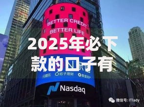 2025年必下款的口子有哪些？最新政策与申请攻略解析