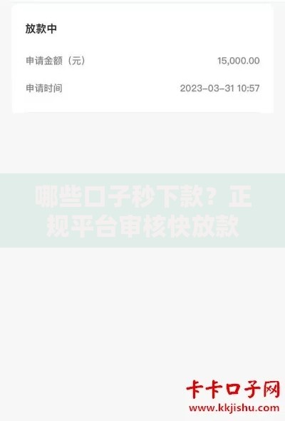 哪些口子秒下款？正规平台审核快放款稳推荐