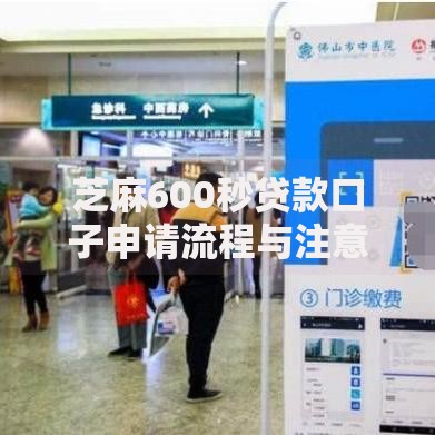 芝麻600秒贷款口子申请流程与注意事项详解