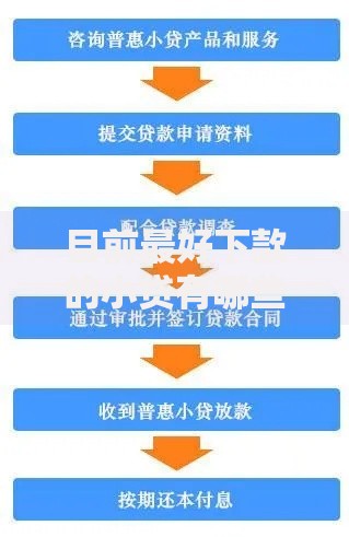 目前最好下款的小贷有哪些？资质要求与申请流程全解析