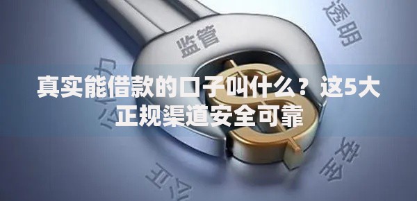 真实能借款的口子叫什么？这5大正规渠道安全可靠