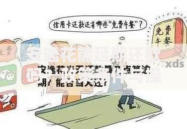 安逸花能延期还款吗？政策条件与操作流程详解