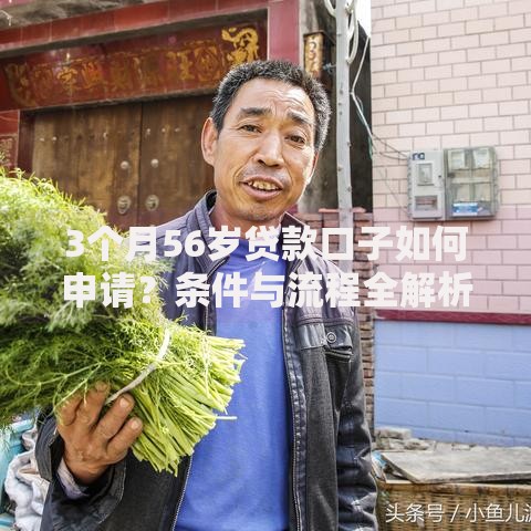 3个月56岁贷款口子如何申请？条件与流程全解析
