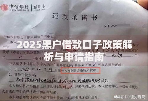2025黑户借款口子政策解析与申请指南