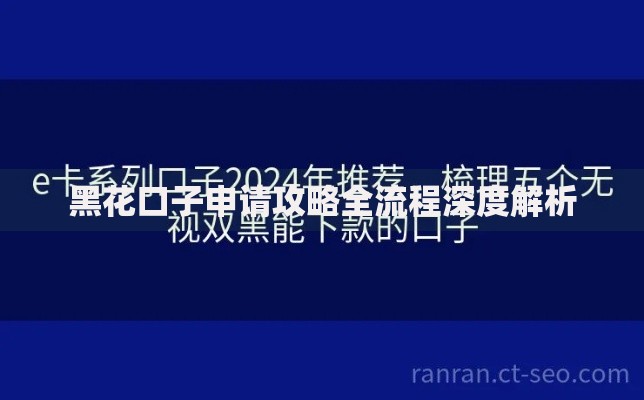 黑花口子申请攻略全流程深度解析