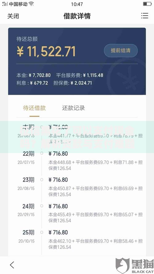 征信黑花了可以支付现金吗？解析贷款与支付难题
