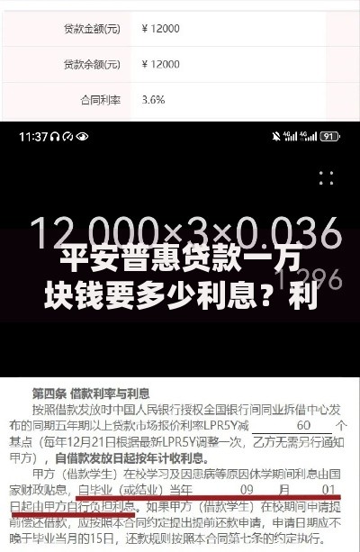 平安普惠贷款一万块钱要多少利息？利息计算与方案解析