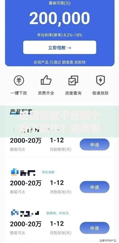 逾期贷款平台哪个好下款快？资质审核与放款效率深度解析