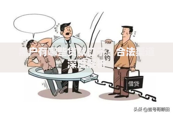 黑户有哪些贷款口子？合法渠道深度解析