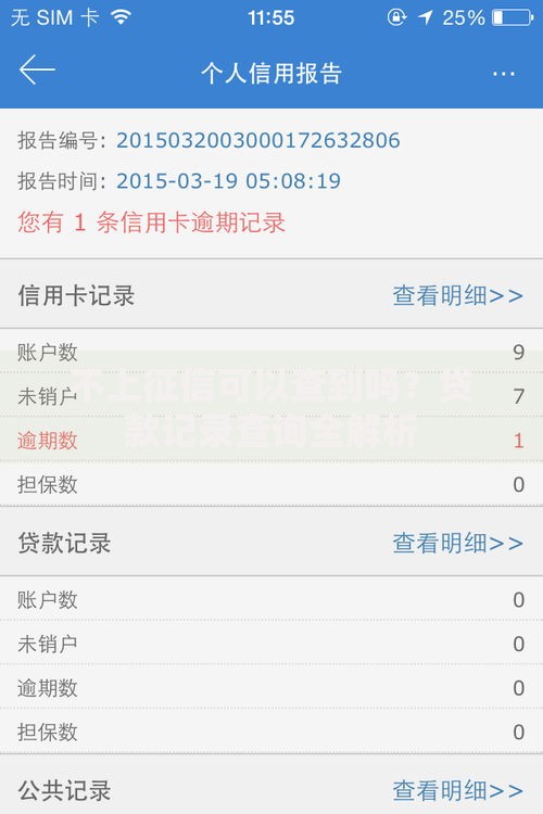 不上征信可以查到吗？贷款记录查询全解析