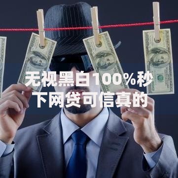 无视黑白100%秒下网贷可信真的存在吗？深度解析背后真相