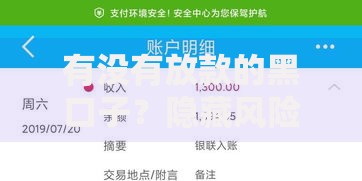 有没有放款的黑口子？隐藏风险与正规渠道全解析