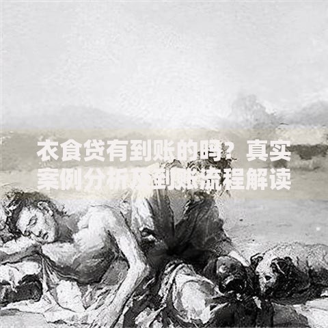 衣食贷有到账的吗？真实案例分析及到账流程解读