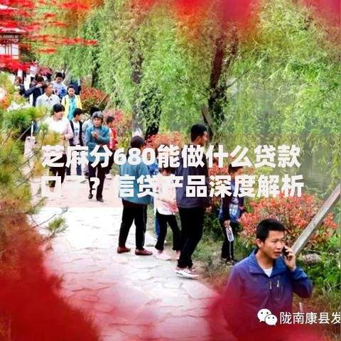 芝麻分680能做什么贷款口子？信贷产品深度解析
