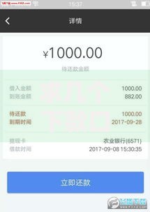 求几个下款口子？哪类平台审核快且额度高？