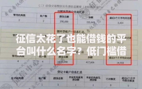 征信太花了也能借钱的平台叫什么名字？低门槛借款渠道解析