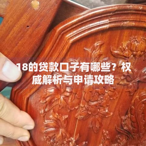 18的贷款口子有哪些？权威解析与申请攻略