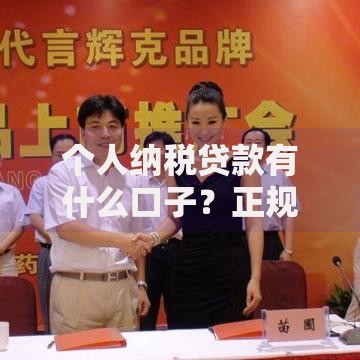 个人纳税贷款有什么口子？正规渠道与申请流程解析