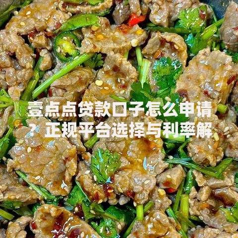 壹点点贷款口子怎么申请？正规平台选择与利率解析