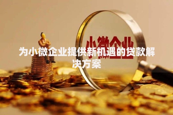 为小微企业提供新机遇的贷款解决方案