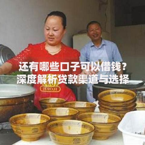 还有哪些口子可以借钱？深度解析贷款渠道与选择策略
