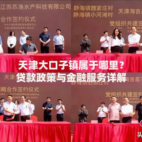天津大口子镇属于哪里？贷款政策与金融服务详解