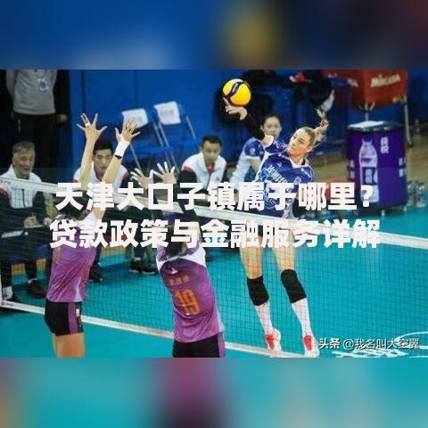 天津大口子镇属于哪里？贷款政策与金融服务详解