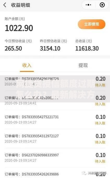 网捷贷授信额度过期怎么办？最新解决方案与续期指南
