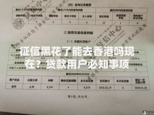 征信黑花了能去香港吗现在?贷款用户必知事项 征信黑花了能去香港吗现在?贷款用户必知事项