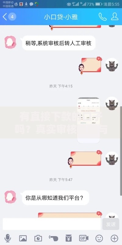 有直接下款的口子吗？真实审核流程与平台选择全解析