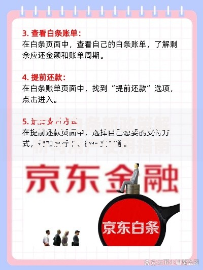 京东白条新政策解析与用户使用指南