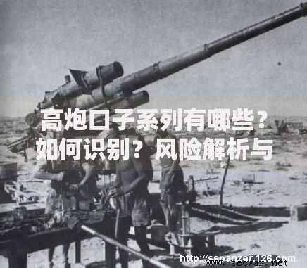 高炮口子系列有哪些？如何识别？风险解析与应对策略