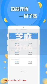 芝麻分660有哪些不看征信的贷款口子？深度解析低门槛贷款渠道