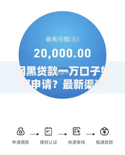 网黑贷款一万口子如何申请？最新渠道与风险解析