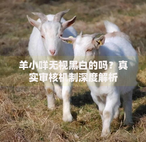 羊小咩无视黑白的吗？真实审核机制深度解析