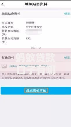 蚂蚁贷款口子有哪些？正规平台解析与申请攻略