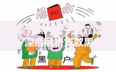 哪个黑户口子最靠谱？深度解析贷款黑户的申请渠道与风险
