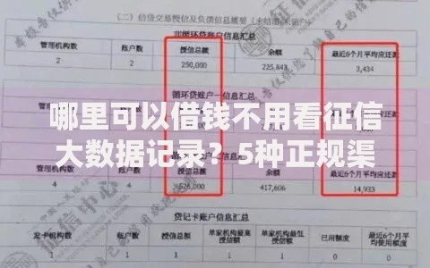 哪里可以借钱不用看征信大数据记录？5种正规渠道深度解析