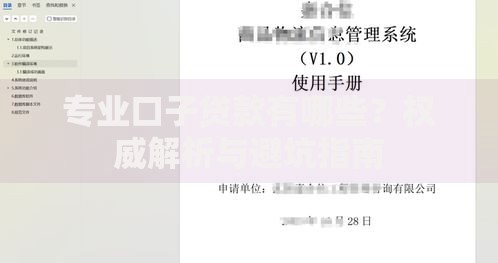 专业口子贷款有哪些？权威解析与避坑指南
