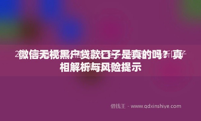 微信无视黑户贷款口子是真的吗？真相解析与风险提示