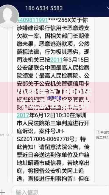 小额借贷1000块不还款会被起诉吗？法律后果解析