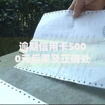 逾期信用卡5000元后果及正确处理指南