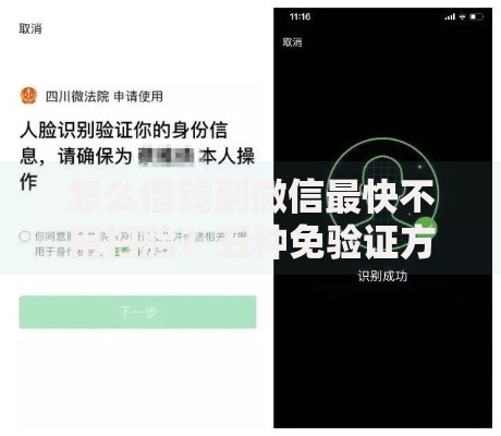 怎么借钱到微信最快不用扫脸？五种免验证方法实测
