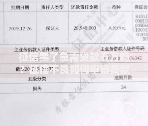 征信黑了急需贷款五万吗？征信不良如何申请贷款