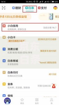 京东白条提额口子在哪里？五大核心方法深度解析