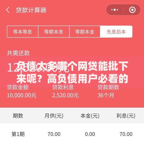 负债太多哪个网贷能批下来呢？高负债用户必看的平台选择指南