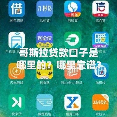 哥斯拉贷款口子是哪里的？哪里靠谱？解析渠道与风险