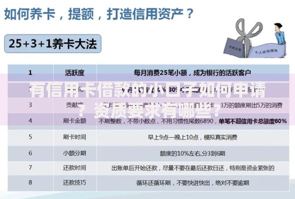 有信用卡借款的小口子如何申请？资质要求有哪些？