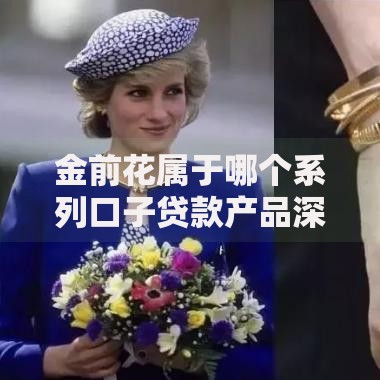 金前花属于哪个系列口子贷款产品深度解析