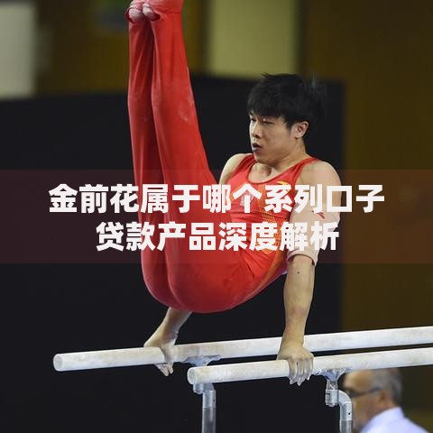 金前花属于哪个系列口子贷款产品深度解析